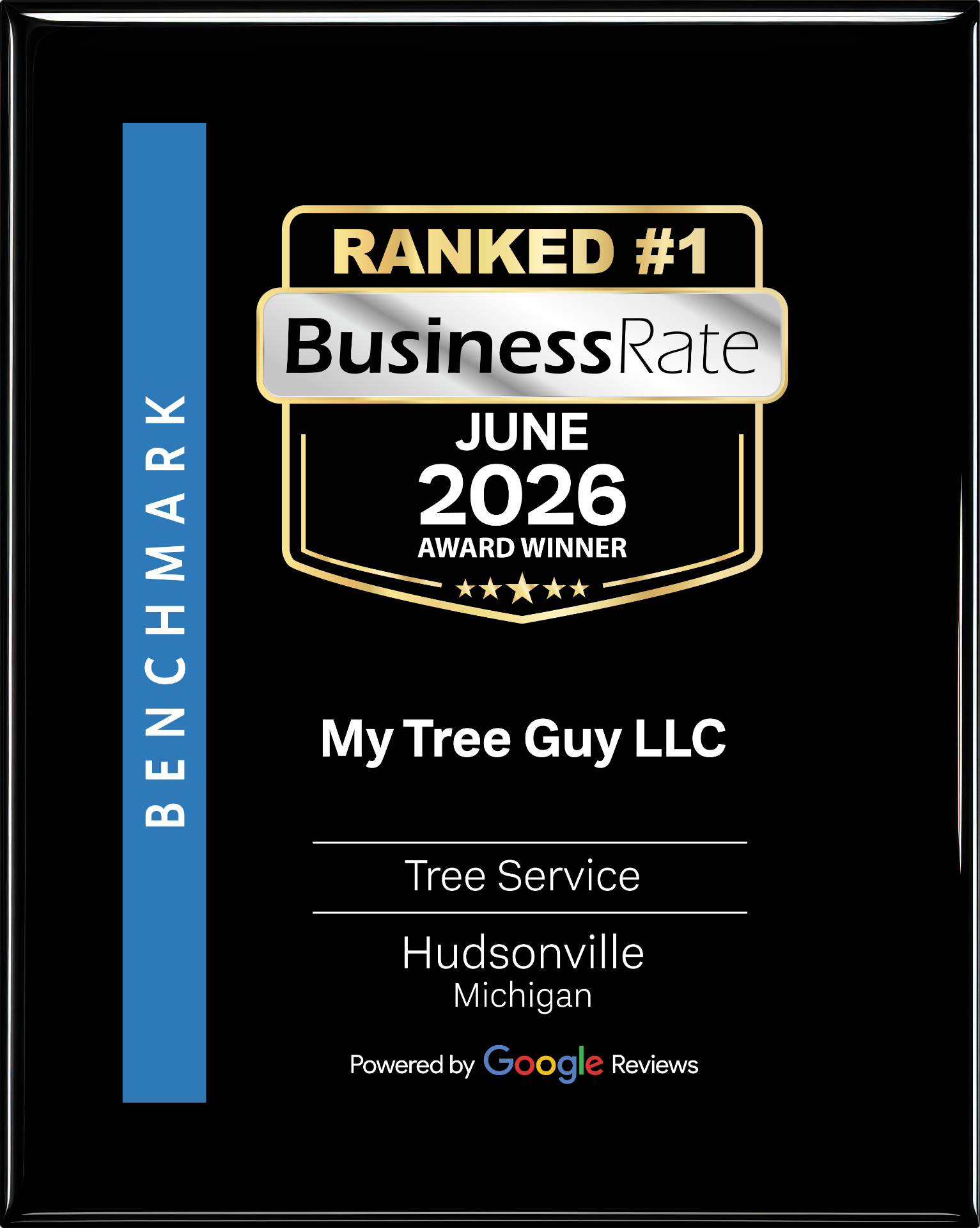 BusinessRate Ranked #1 Tree Service in Hudsonville, Michigan — June 2026 Award Winner presented to My Tree Guy LLC