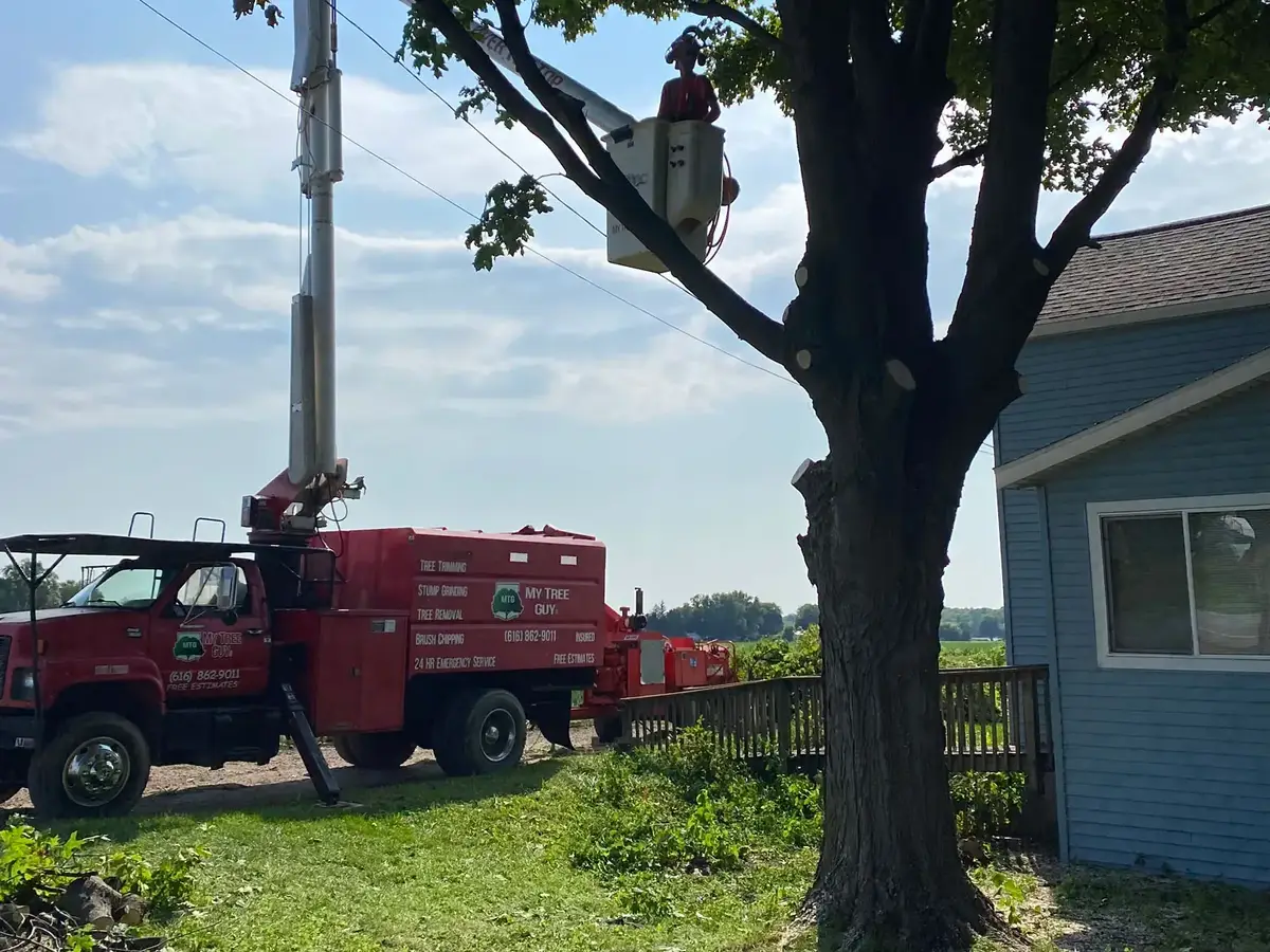 My Tree Guy LLC professional tree service crew working in West Michigan